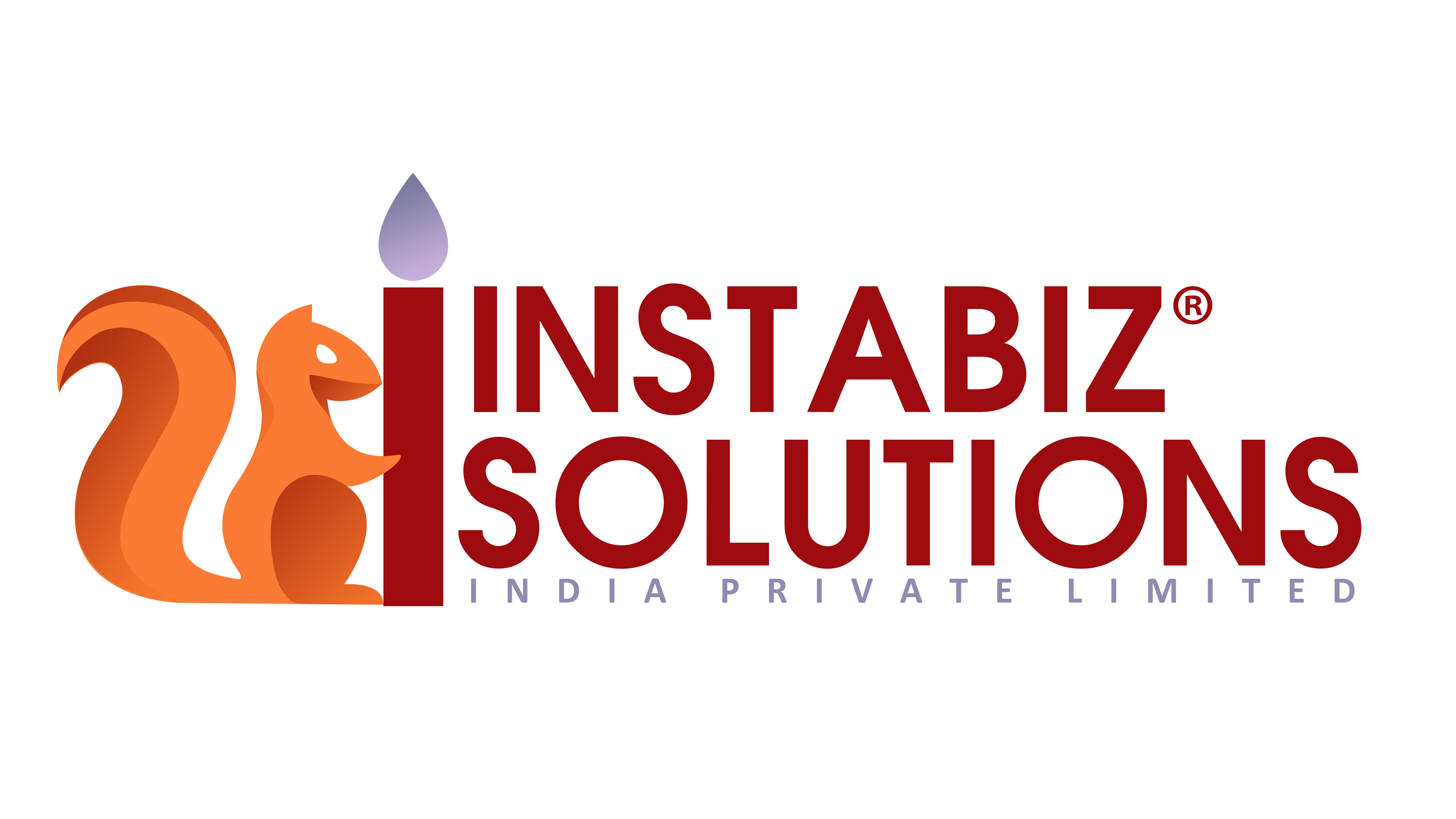 INSTABIZ SOLUTIONS INDIA PVT LTD.