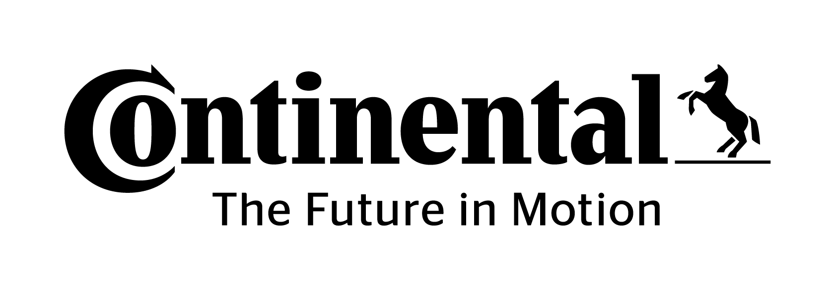 CONTINENTAL SURFACE SOLUTIONS INDIA PVT. LTD.