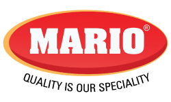 MARIO INDUSTRIES PVT LTD