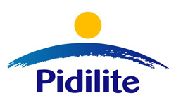 PIDILITE INDUSTRIES